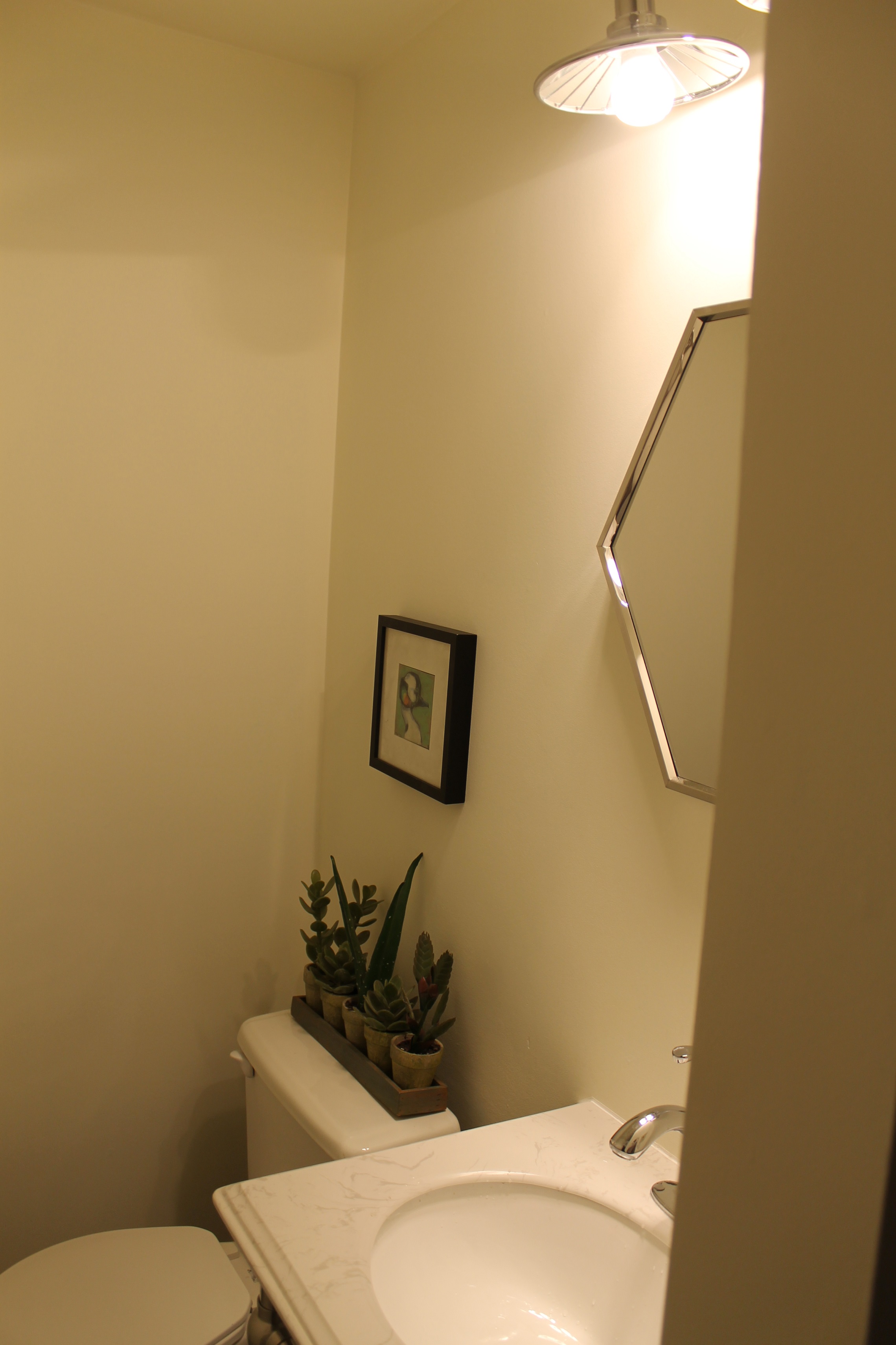 lower bathroom